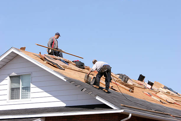 Fast & Reliable Emergency Roof Repairs in Blooming Prairie, MN